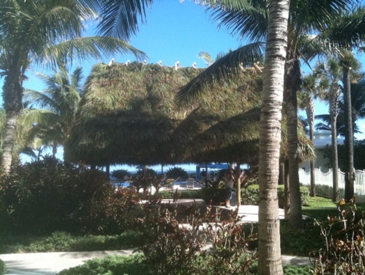 Tiki Hut Tiki Hut